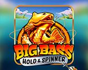 Big Bass - Hold & Spinner