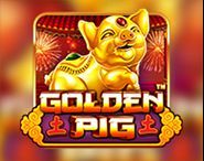 Golden Pig